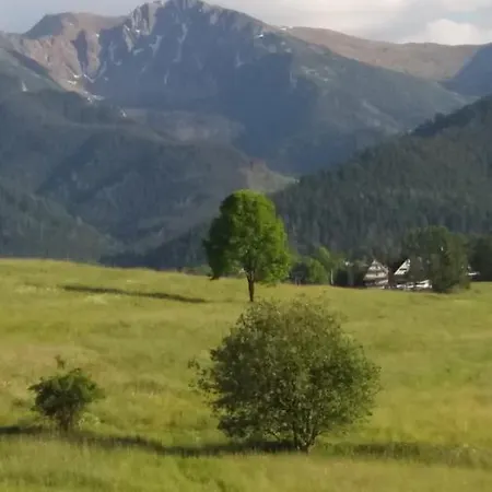 Dom wakacyjny Pod Ubocom *